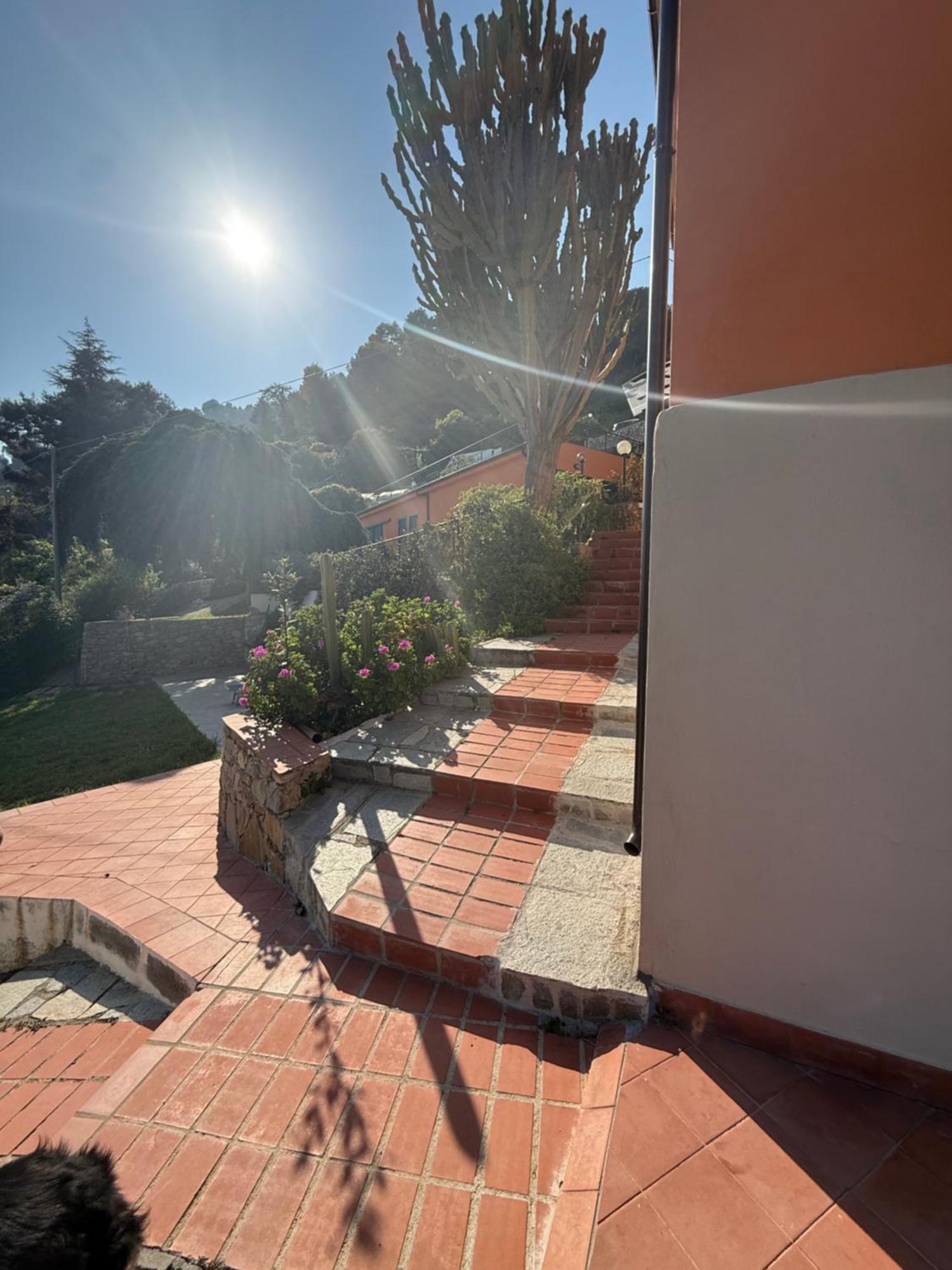 Agriturismo Un Mare Di Fiori เวนติมิญา ภายนอก รูปภาพ