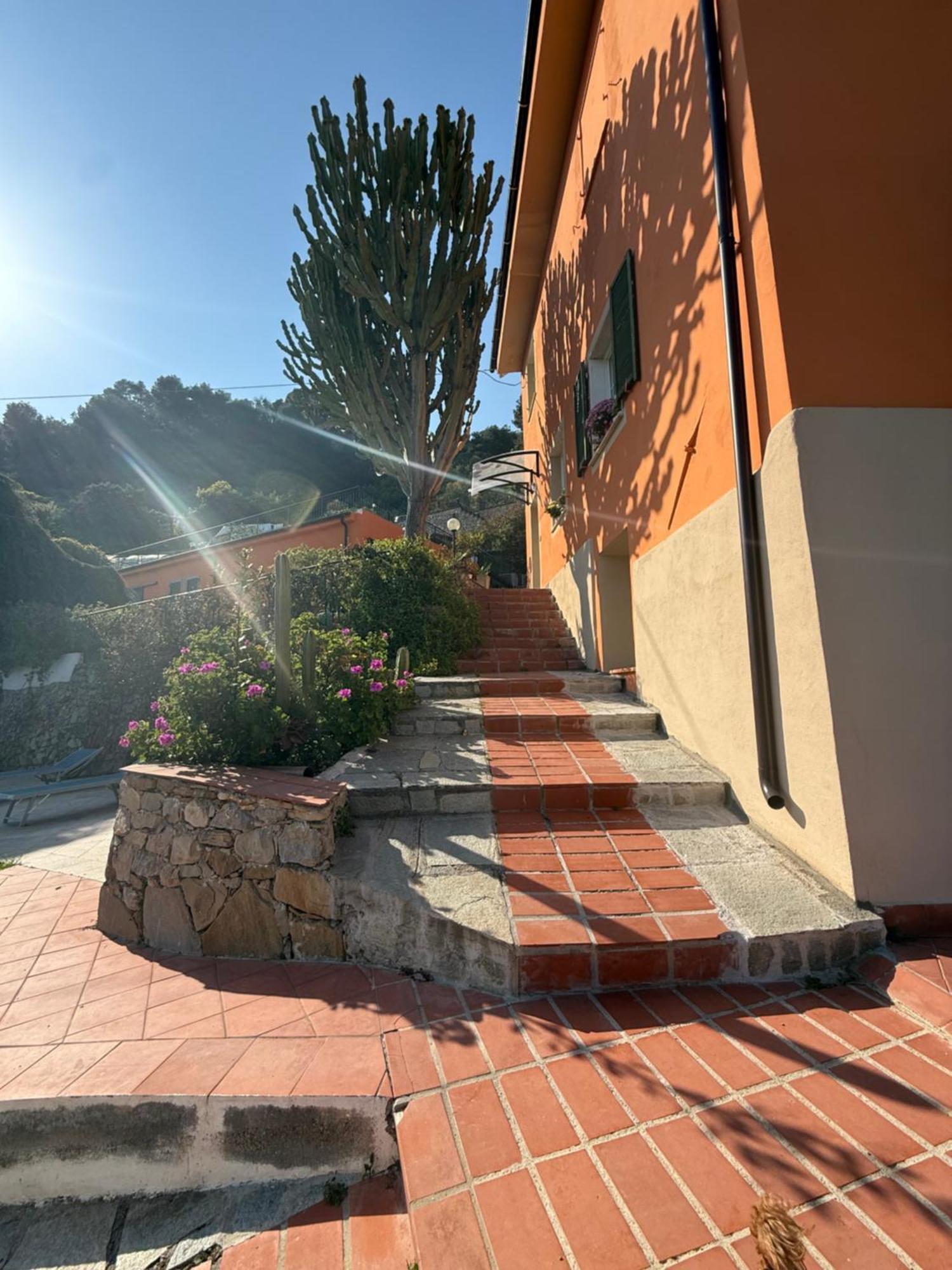 Agriturismo Un Mare Di Fiori เวนติมิญา ภายนอก รูปภาพ