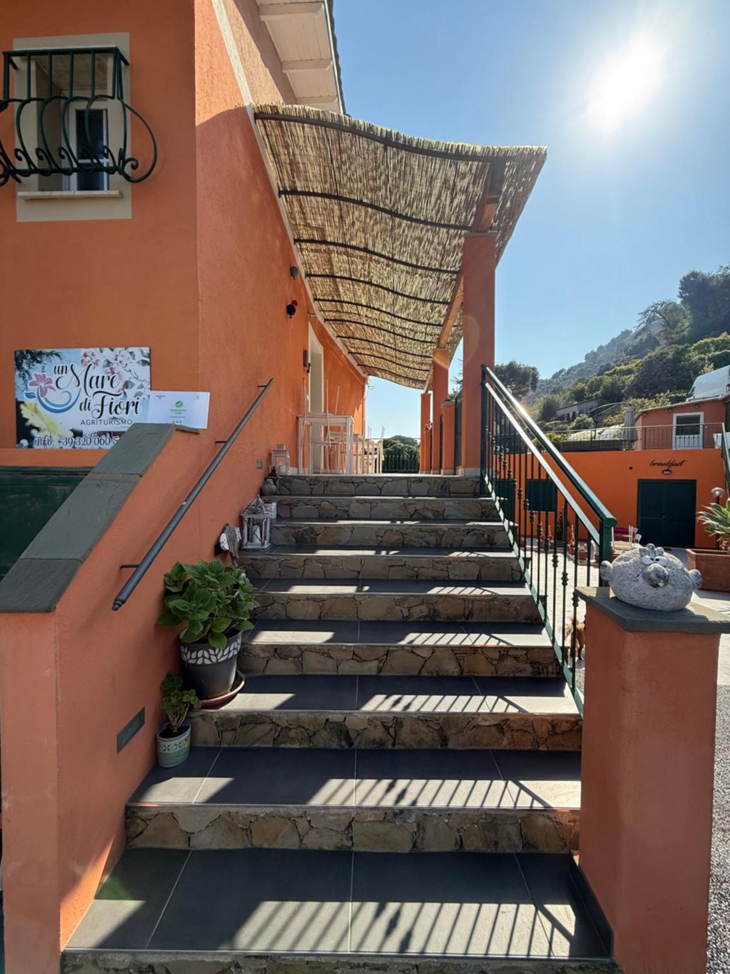 Agriturismo Un Mare Di Fiori เวนติมิญา ภายนอก รูปภาพ